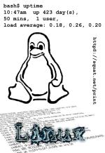 bash$ uptime : up 423 day(s)